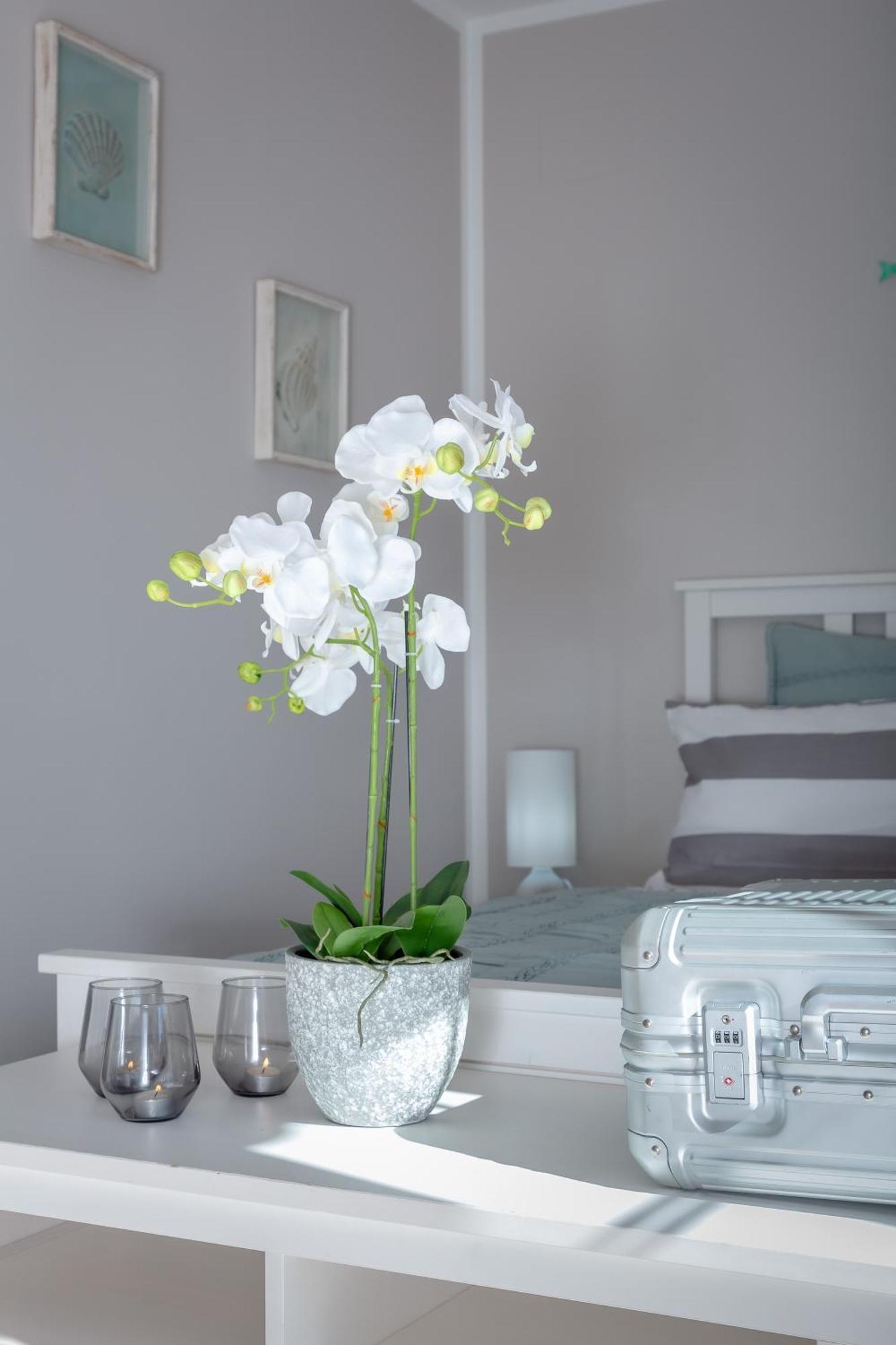 Villa Palmera Palma de Mallorca Bagian luar foto