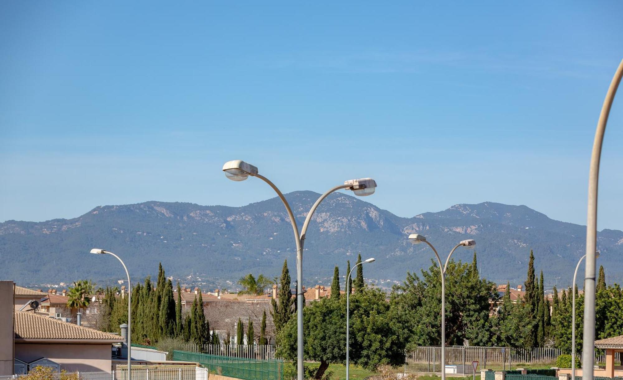 Villa Palmera Palma de Mallorca Bagian luar foto