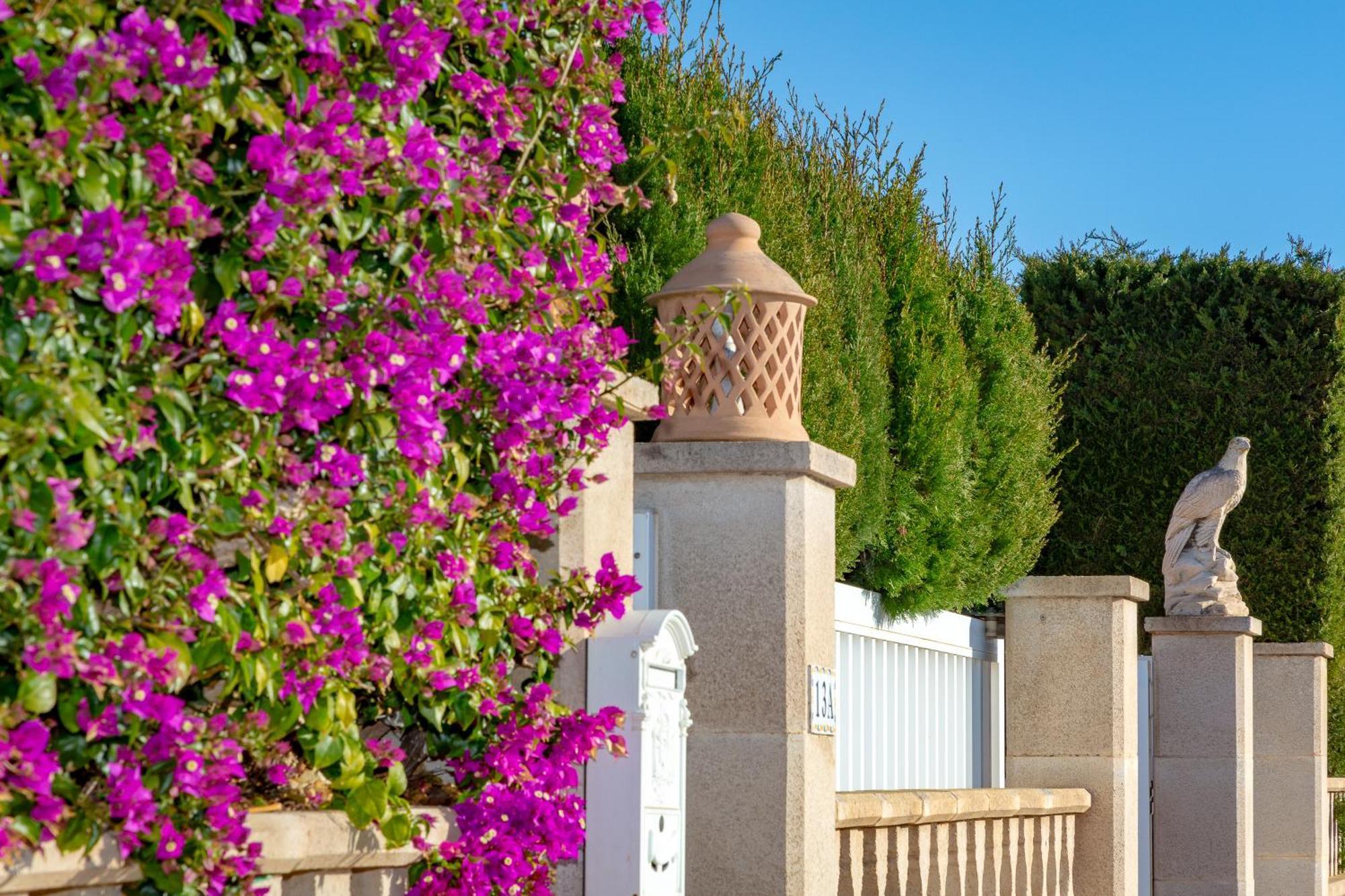 Villa Palmera Palma de Mallorca Bagian luar foto